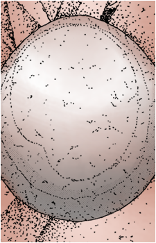 Pebble {HnK}'s image