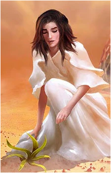 Ikalla's image