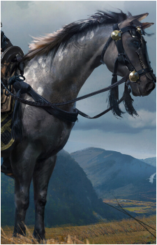 Jin's Horse