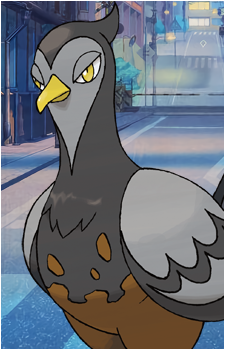 Pidove