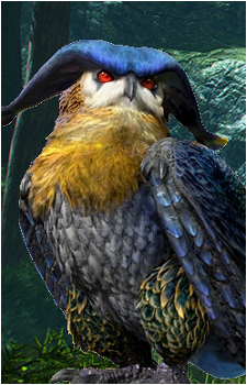 Malfestio