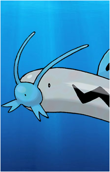 Barboach's image
