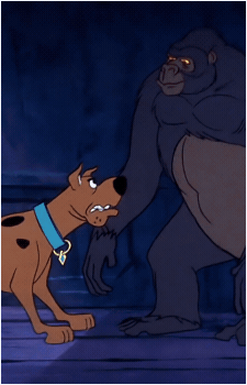 Image 9 Image 9