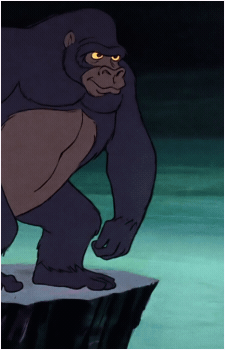 Image 7 Image 7