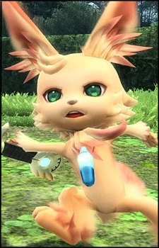 Nyau (PSO2) Image