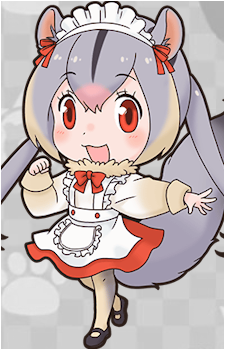 Squirrel Glider