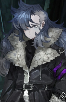 Wolf's image