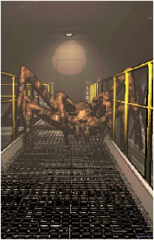 Bunker Spider