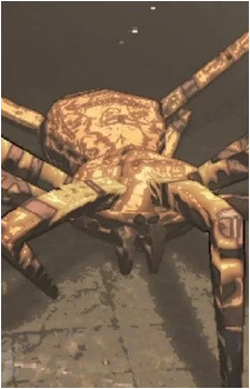 Bunker Spider's image