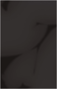 Image 41