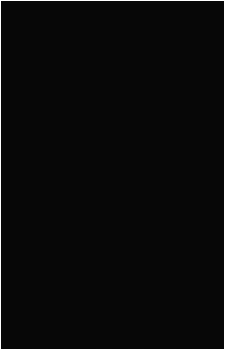 Image 37