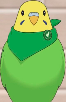 Mint's image