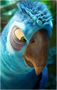 Eduardo {Rio}'s image