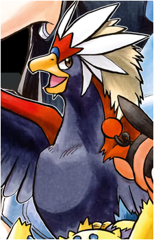 Brav's image