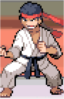 Black Belt's image