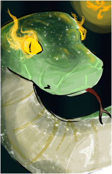 Image 17