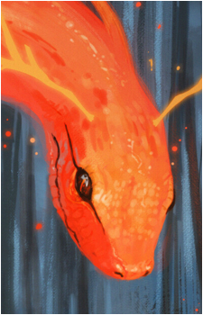 Image 25