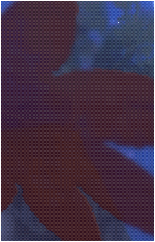 Image 17