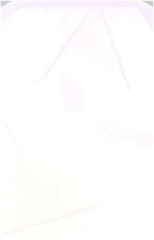 Image 30