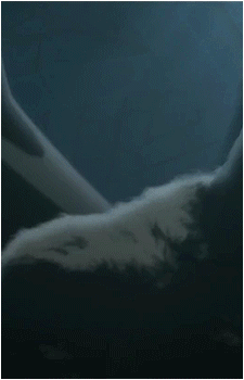 Nosferatu Zodd