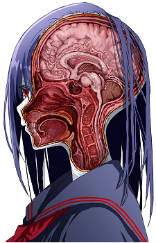 Gore-Zono