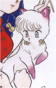 Image 27