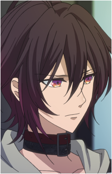 Shin