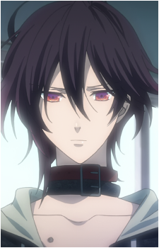 Shin
