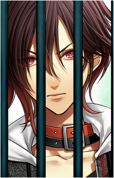 Shin