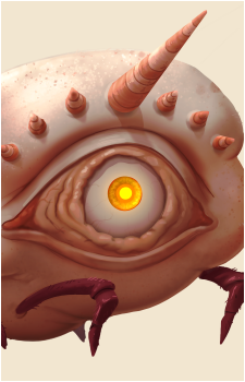 Magmoth's image