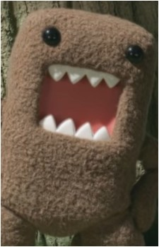 Domo's image
