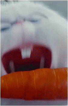 Snowball