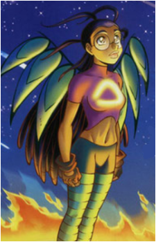 Image 11