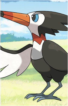 Pikipek