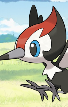 Pikipek's image