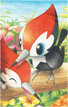 Pikipek
