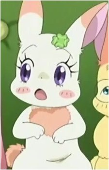 Image 7 Image 7
