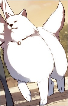 Duri