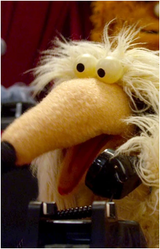 Afghan Hound's image