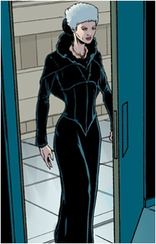 The Shadow Architect's image