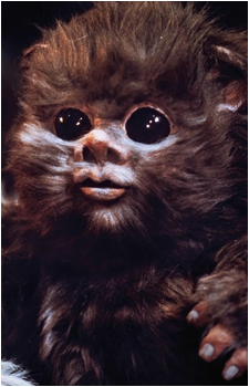 Nippet's image