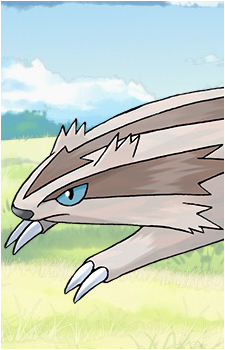 Zigzagoon