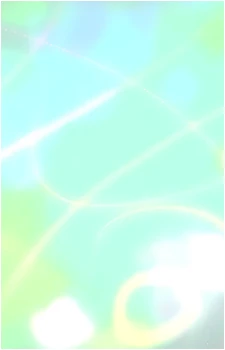 Image 73