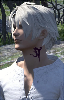 Image 6 Image 6