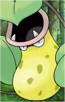 Bellsprout