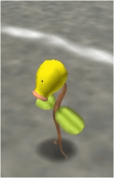 Image 40
