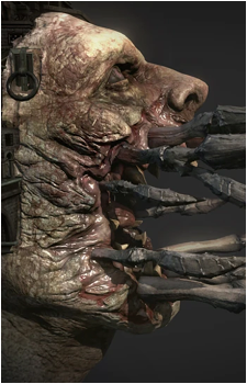 Image 3 Image 3