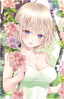 Image 25