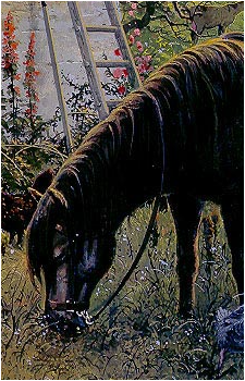 Bill the Pony