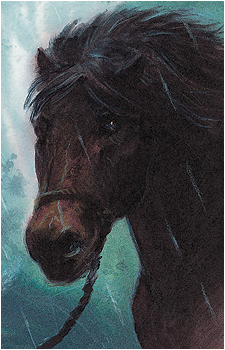 Bill the Pony's image